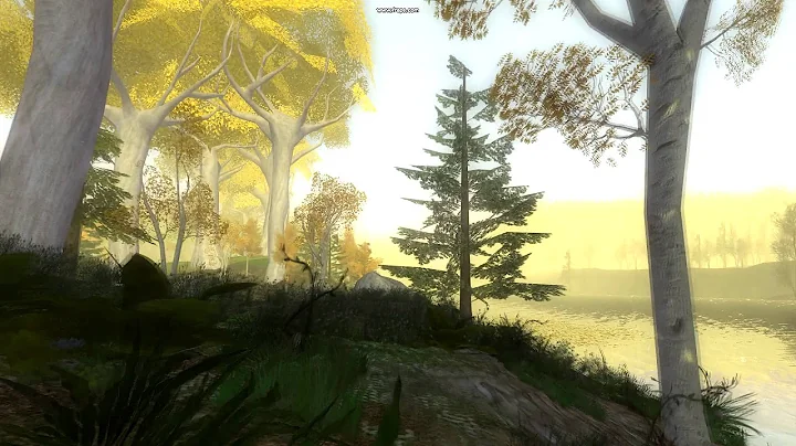 LOTRO Lothlorien - Golden Wood Impression