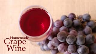Homemade Grape Wine with fresh Grapes | Christmas Special Grape Wine Recipe