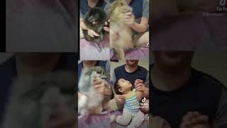 DJ DANCE THAILAND VERSION TIKTOK VIRAL #piu piu