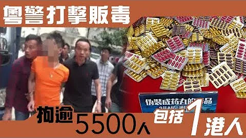 廣東首5月破4655宗毒品案　繳毒5.4噸港人涉案 - 天天要聞