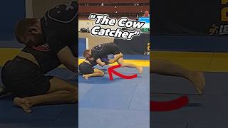 The Cow Catcher at IBJJF PAN AMS Straight to a Bottom Pin #wrestling #whitebelt #adcc #bluebelt #mma