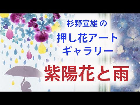 押し花アートギャラリー 紫陽花と雨 癒しのアート Youtube