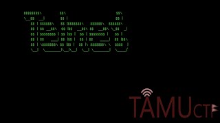 Famous tamuctf 2019 writeup [Calculator] Profile