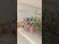 🌷POV: Tiny Flowers Make Everything Better 🥹💖