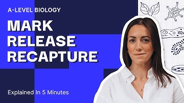 Learn ALL About Mark Release Recapture With Me | A Level Biology