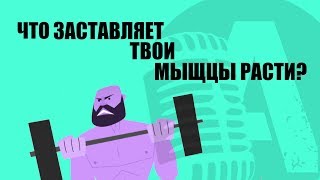Что Заставляет Твои Мышцы Расти? | Rus Voice