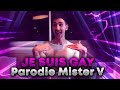 Je suis gay parodie mister v  gang