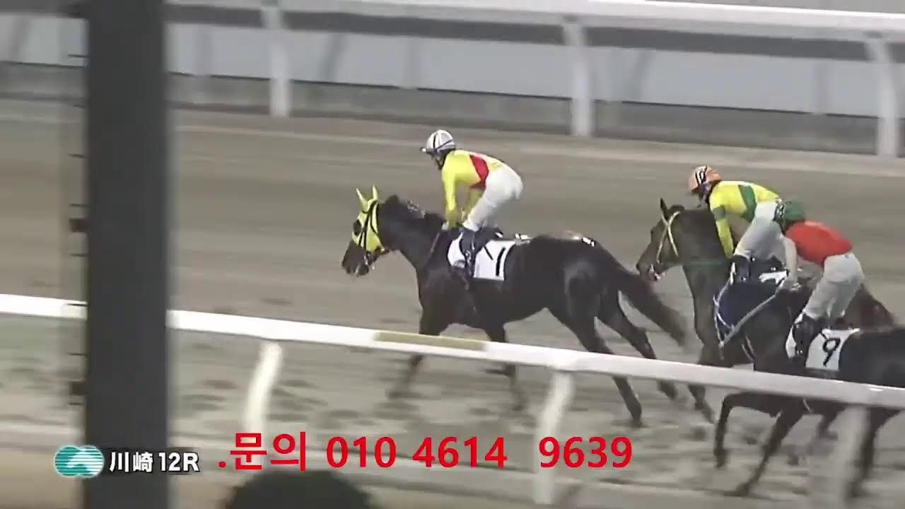 아몬드 영님의 라이브 방송