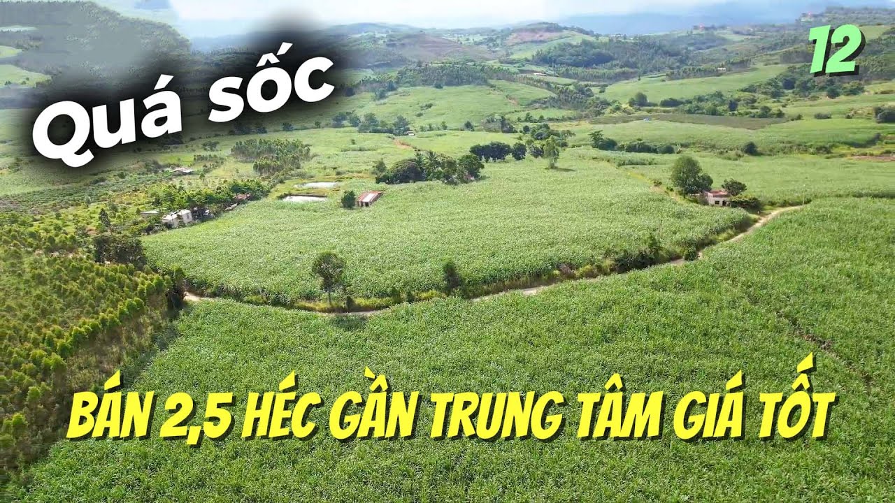 Quá sốc Bán 2,5 héc gần trung tâm giá tốt