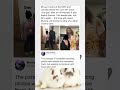 DMV aunt unknowingly took photos with Keanu and Jason Momoa #celebrity