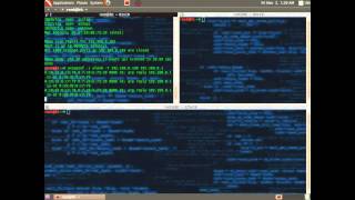 Spoofing screenshot 4