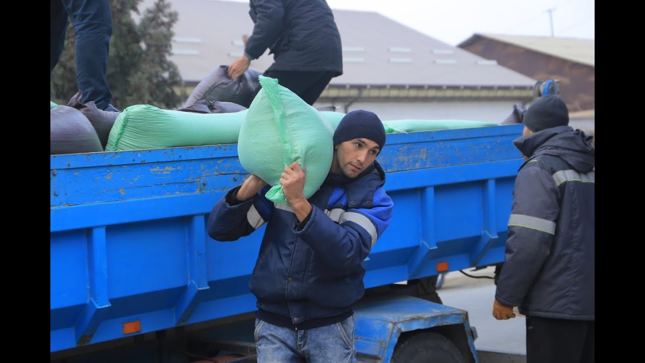 Янгибозорда 1000  та хонадонга ёрдам кўрсатилмоқда