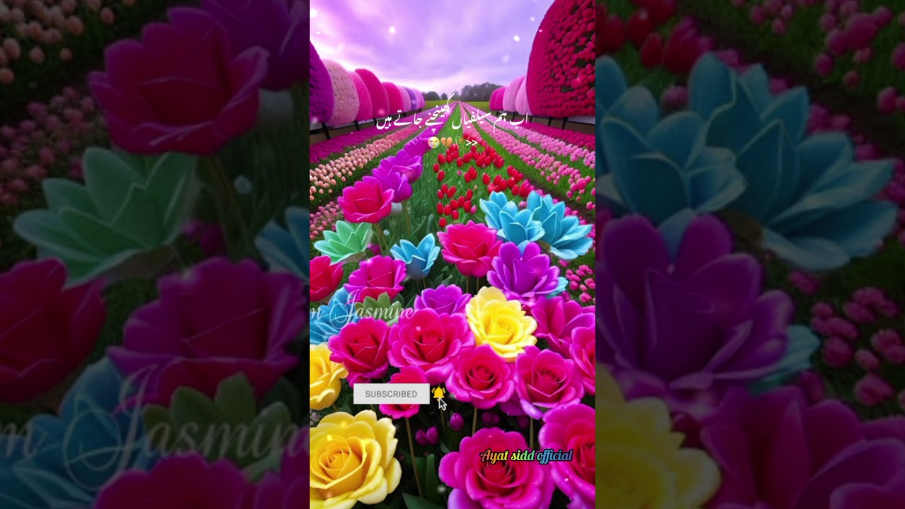 🥹बेशक 😥🤲 फ़रमाया गया की एक वक्त आएगा.... |#viralshorts #बयान 🥀🪽