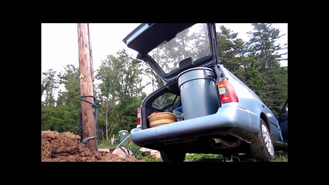 Picking up Horse Poo for the Garden YouTube