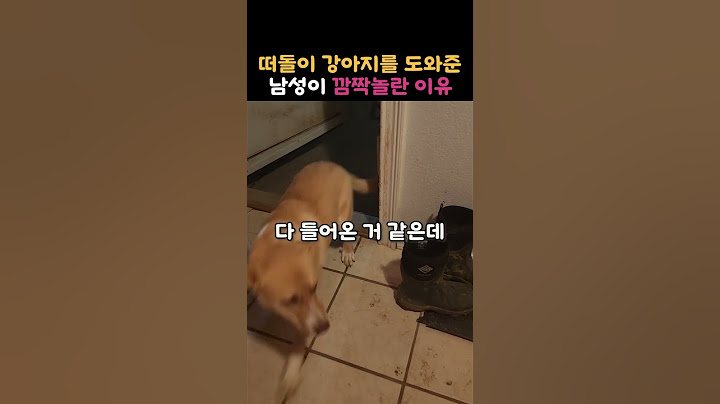 떠돌이 강아지를 도와준 남성이 놀란이유