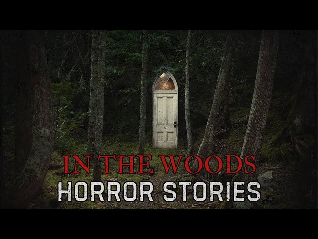 18 Scary In The Woods Horror Stories class=