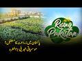 Climate Change, Crops &amp; Cities: Is Urban Farming the Future of Pak’s Agriculture? | Rising Pakistan