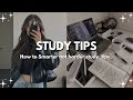 13 study tips  that a grade students never told you 
