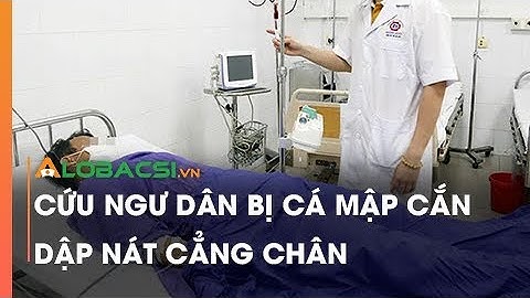 Cứu ngư dân bị cá mập cắn dập nát cẳng chân