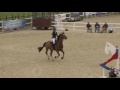 Chepstow International CSI2* - Day 1 - Class 3117  Children on Horses Viewing Trial