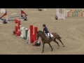 Chepstow International CSI2* - Day 1 - Class 3117  Children on Horses Viewing Trial
