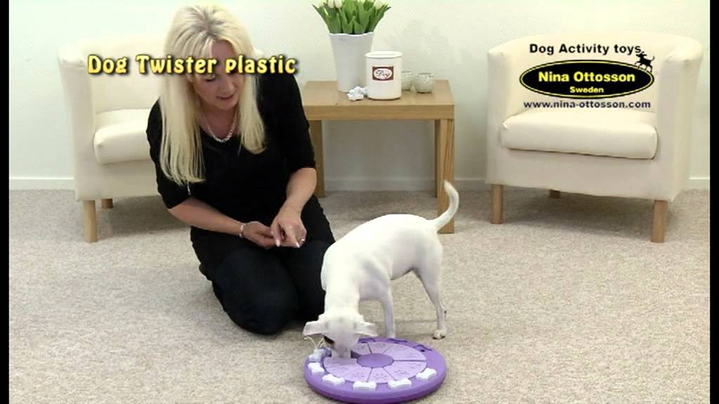 Dog Twister (kunststof) YouTube