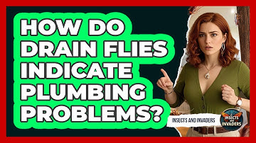 How Do Drain Flies Indicate Plumbing Problems? - Insects and Invaders