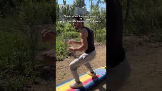 Sharks when they see humans vs when they see humans on surfboards. #shorts #skit #funny