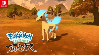 ポケモンレジェンズアルセウス 色違いのポニータ入手 おかしなポニータ目撃報告 サブ任務 Pokemon Legends アルセウス Switch Youtube