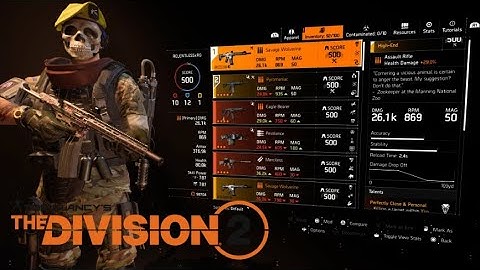 The Division 2 - The Savage Wolverine AR