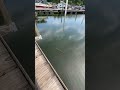 Lake Time With Our BabyЁЯШНтЭдя ПЁЯе Lake Time With Our BabyЁЯШНтЭдя ПЁЯе