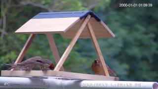 Cam1 20170613 171438 1
