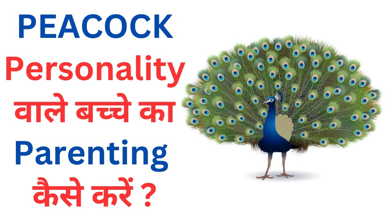peacock-personality-traits-and-career-options-personality-types