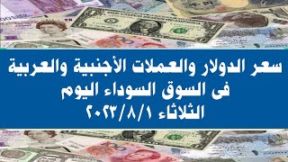 سعر الدولار والعملات العربية والأجنبية فى السوق السوداء اليوم الثلاثاء ٢٠٢٣/٨/١