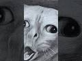 Meme Cat Drawing: Realism vs. Reality! 🐱✏️Description:#MemeArt #DrawingTutorial #FunnyCat