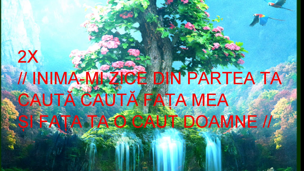 INIMA INIMA MEA - NEGATIV CREȘTIN CU VERSURI- SAVI 2020 - YouTube