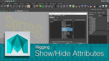 DART 150 Intro To 3D Animation: Show And Hide Attributes