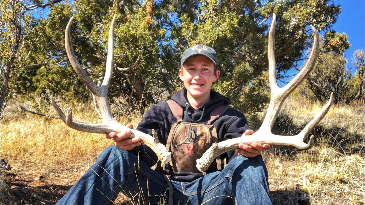 Big brown set! Shed hunting Utah 2021 YouTube