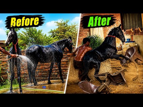 Panchmukhi Aisa Krdegi Cold Shower Ke Baad 😢New Surprises at Farm 🔥
