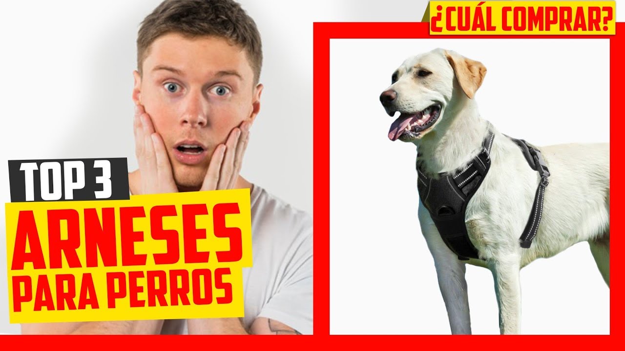 🐕 Mejor ARNÉS Anti Tirones para PERRO Grande y Pequeño 🐶 | ▶Amazon 2020◀