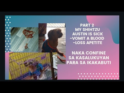Video: Ano Ang Sinasabi Ng Dugo Sa Iyong Vet Tungkol Sa Kalusugan Ng Iyong Alaga