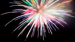 東大阪市 全国一斉サプライズ花火 花園中央公園で21年9月19日時頃から花火が上がりました 号外net 東大阪市