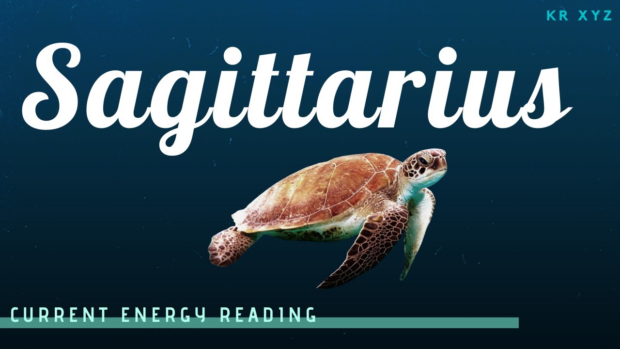 SAGITTARIUS ♐️😒 “There’s a reason why you’re not really getting what you need from this.”