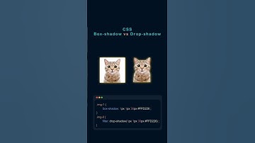 Box shadow vs drop shadow #css #webdesign