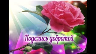 ❤Безграничной Вам  ДОБРОТЫ!  ❤ С Днём Доброты! 💕