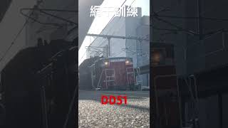 たまたま姫路で見れた網干訓練のDD51