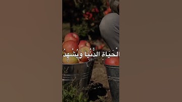 القران الكريم #اكسبلور #القرآن_الكريم #دويتو #المصحف #الرحمن #لايك #تيك_توك