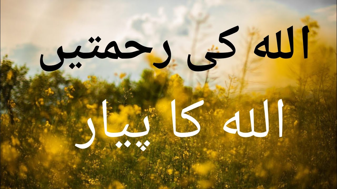 ALLAH ki rahmty |ALLAH ka Pyar | back to ALLAH| Islam| by molana Tariq ...