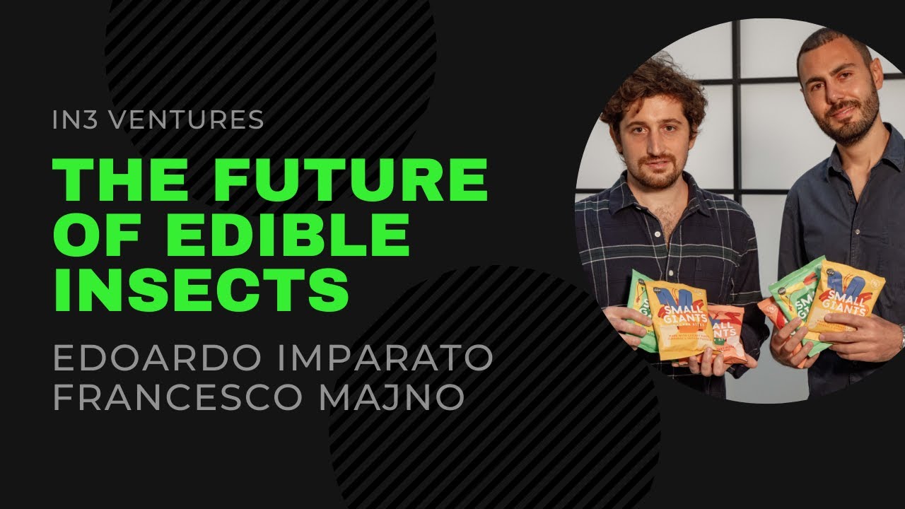 Snacks Made with Cricket Flour?! Foods of the Future - Small Giants