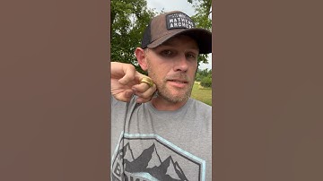 This helped me more than anything when dealing with the release hand! #allabouttheangle #archery